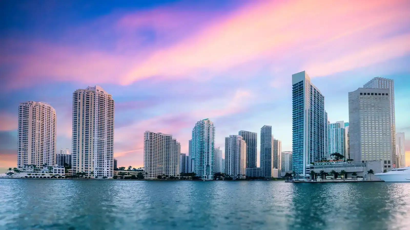 Miami, Florida, the most contested plastic surgery market where Skinspire ranks surgeons